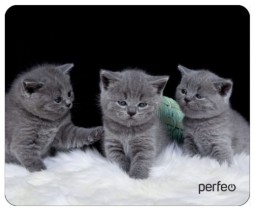 Perfeo Коврик для компьютерной мыши "Cat", Рис.26 (180*220*2 мм), ткань+резиновое основание