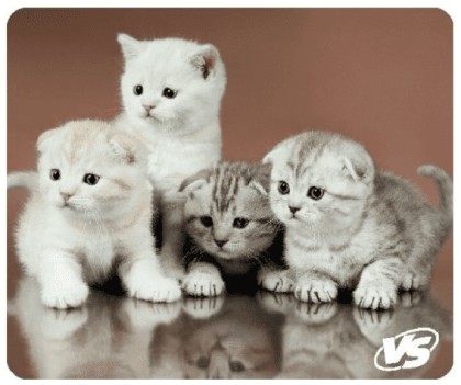 VS Коврик для компьютерной мыши "Cat", Рис.6 (194*233*3 мм), полипропилен+вспененный пластик