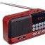 Портативный радиоприемник Perfeo Aspen 3Вт/FM/AUX/USB/MicroSD PF_B4058 красный