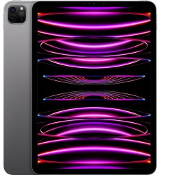 iPad Pro (2022) 11" Wi-Fi 256 ГБ, «серый космос»