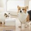 Автопоилка для питомцев Xiaomi Smart Pet Water Dispenser белая