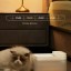 Автопоилка для питомцев Xiaomi Smart Pet Water Dispenser белая