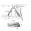 Мультитул Xiaomi NexTool Knife Pro Multi-function серебристый